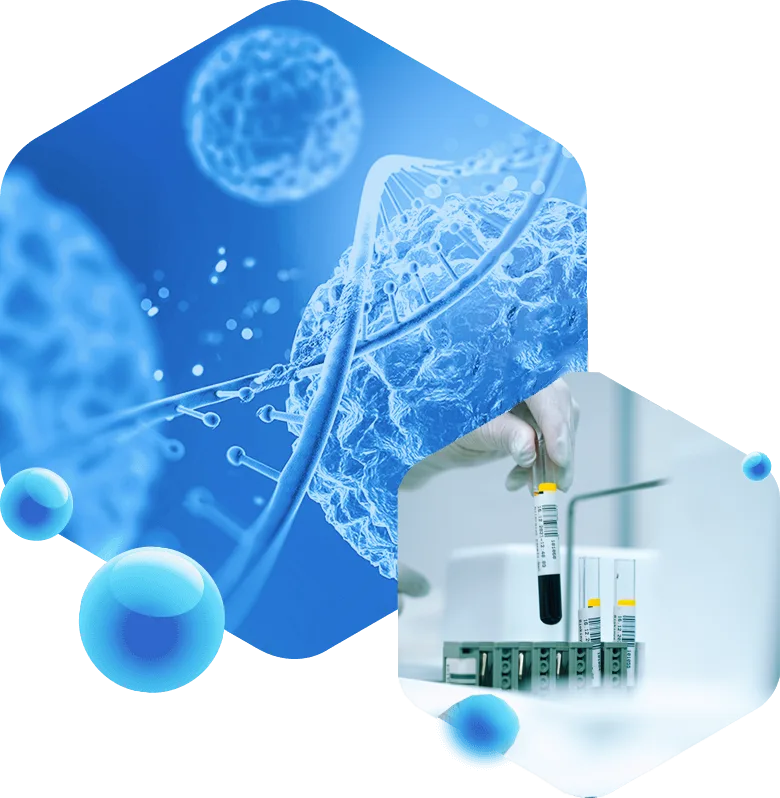 Trusted Lab Equipment Manufacturer and Supplier with Quality 