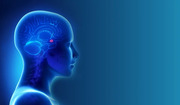 Best Neurosurgeon in Gota at Lifeline Multispeciality Hospital