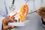 Best ENT Specialist in Ahmedabad