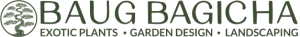 Large Indoor And Outdoor Plants in Vadodara | baugbagicha