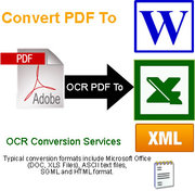 Patel Infosoft - Pdf to doc Conversion